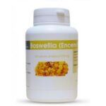 boswellia encens extrait 100 gelules a 270 mg.jpg