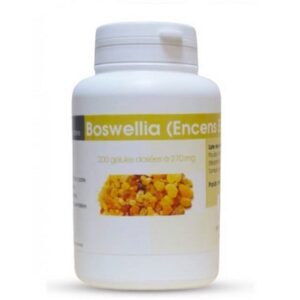 boswellia encens extrait 100 gelules a 270 mg.jpg