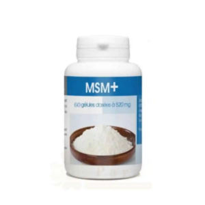 gph msm 520mg 60gelules 1.png