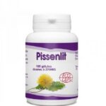 gph pissenlit 100 gelules.jpg
