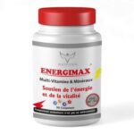 health power energimax 90 cps 1.jpg