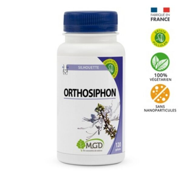 mgd orthosiphon 120 gelules.jpg