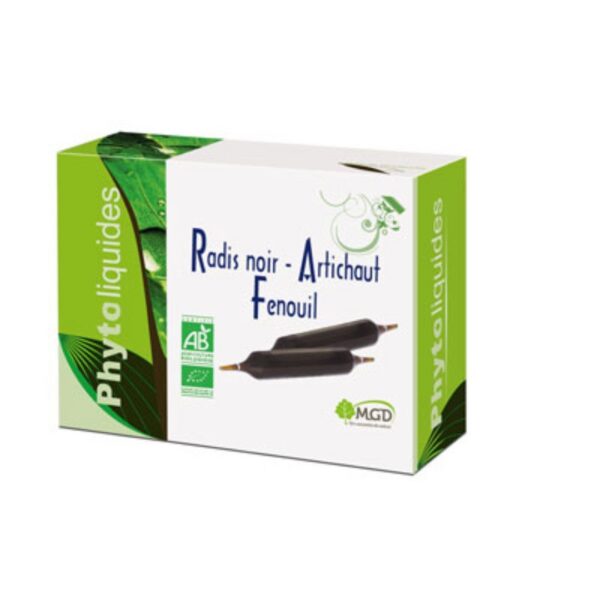 mgd radis noir artichaut fenouil 10 ampoules.jpg
