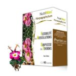nutrimax harpagophytum 90cps 1.jpg