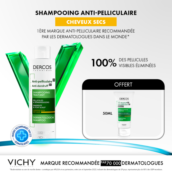 vichy 5.png