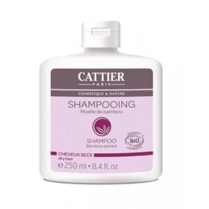 bamboo 1.jpg