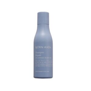 VISAGE bjorn axen repair shampooing 75 ml.jpg