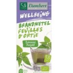 damhert tisane ortie 1.jpg