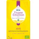 deva joie 1.jpg