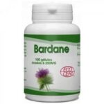 gph diffusion bardane 250 mg 100 gelules.jpg
