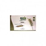 gph diffusion prele bio boite de 20 ampoules 2048x2048.jpg