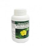 gph diffusion tribulus extrait 200 gelules 1.jpg