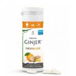 lemon pharma ginjer chewing gum gingembre orange 30 g 1.jpg