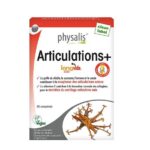 physalis articultations.jpg