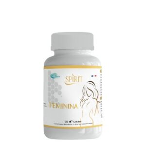 spirit feminina 1.jpg