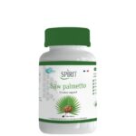spirit saw palmetto 1.jpg