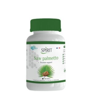 spirit saw palmetto 1.jpg