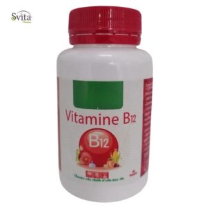 svita premium vitamine b12 40 gelules.jpg