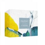 vague coffret 1.jpg
